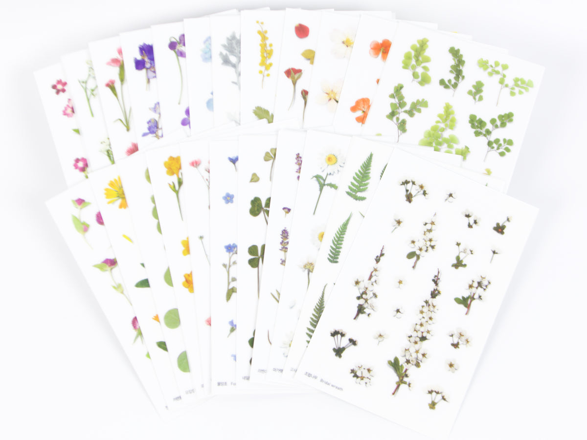 Appree Pressed Flower Stickers