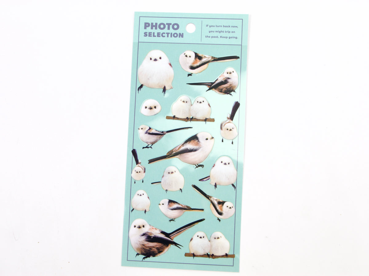 Mind Wave Photo Selection Stickers