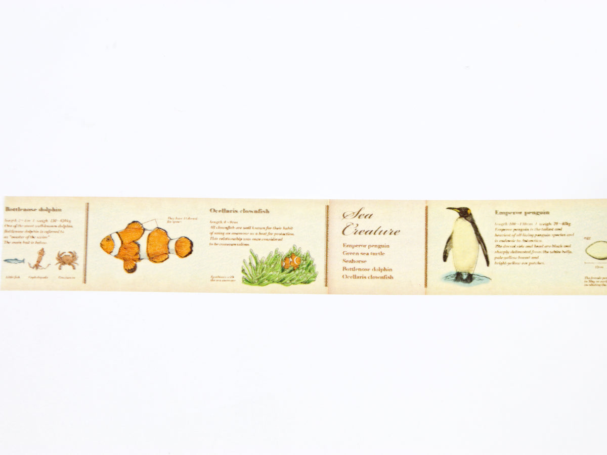 mt ex Encyclopedia of Marine Life