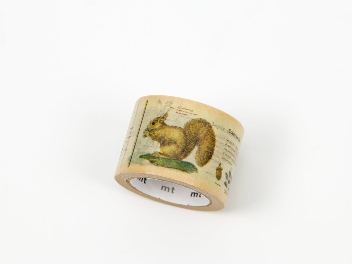 mt ex Encyclopedia of Animals