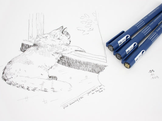 Pilot Drawing Pen