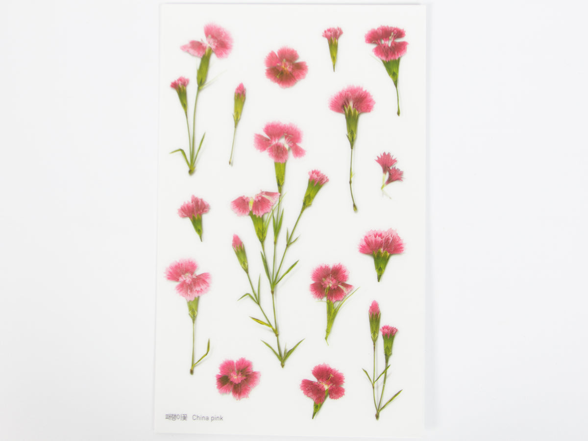 Appree Pressed Flower Stickers