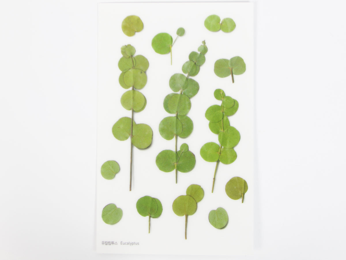 Appree Pressed Flower Stickers